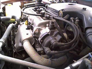 �r�C�K�X�̏��